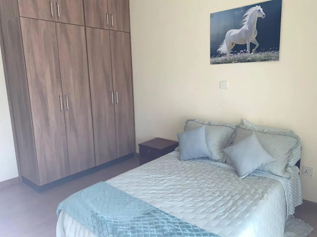 Mimo Olympia 3 Bedroom Furnished Apartments Addis Ababa